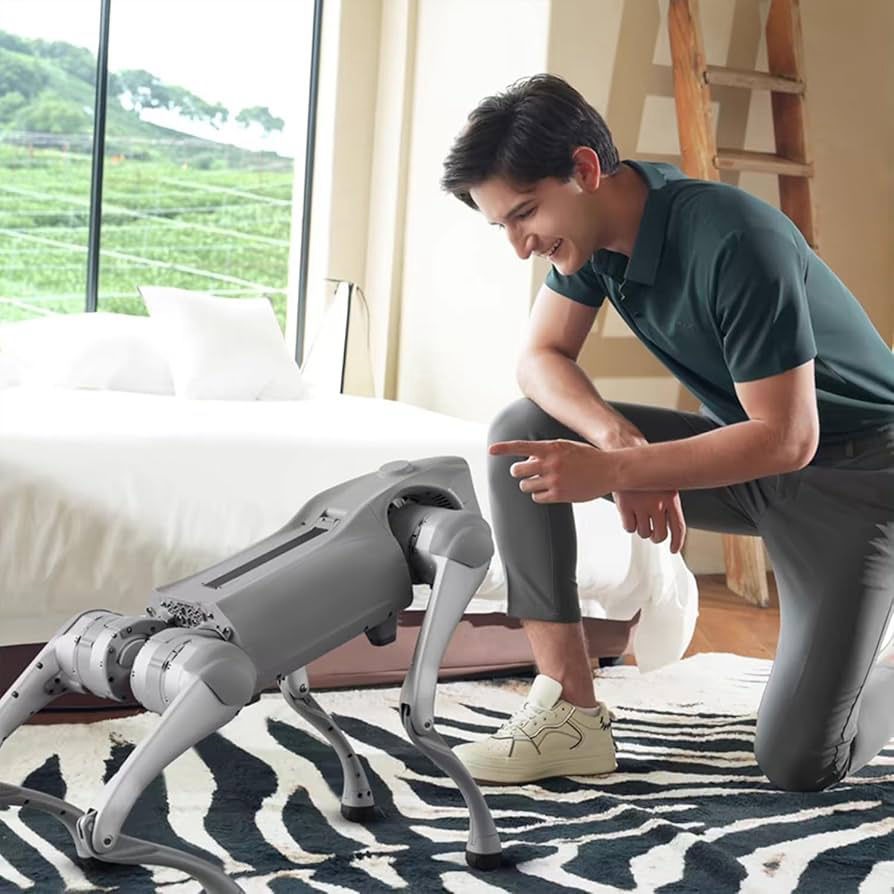 robot voor gender reveal